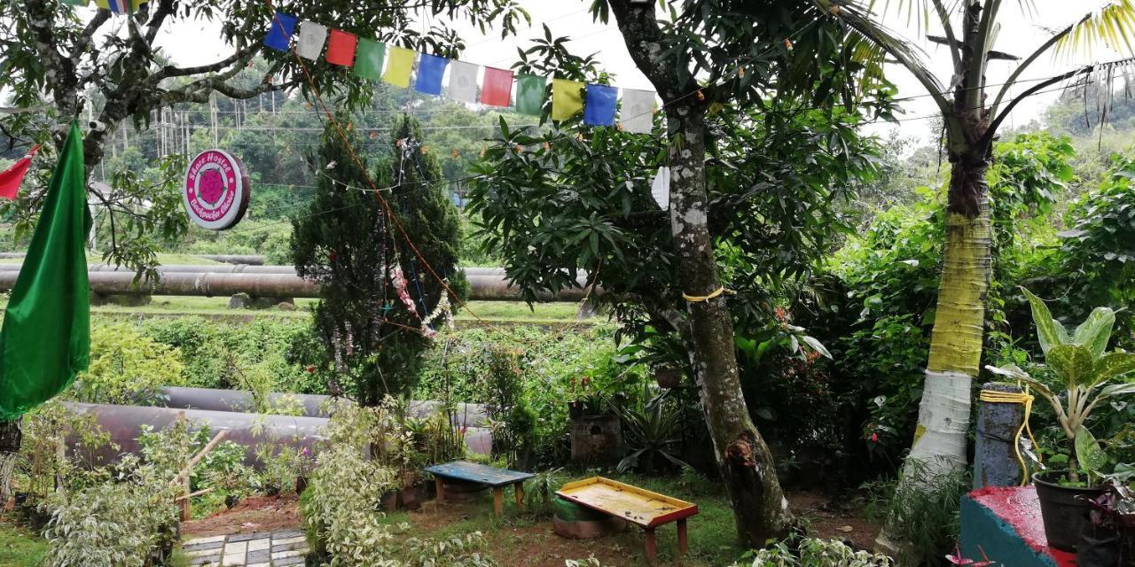 SHARE Hostel Munnar Exterior foto